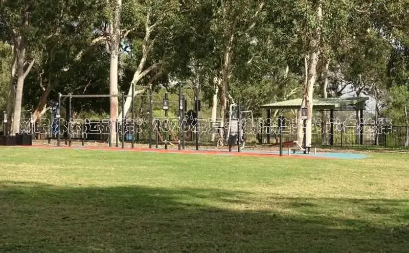 飞速体育直播