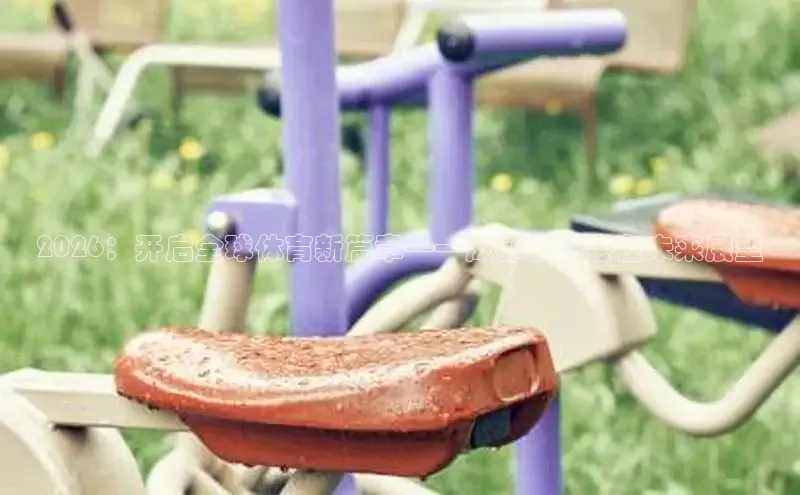 飞速直播体育