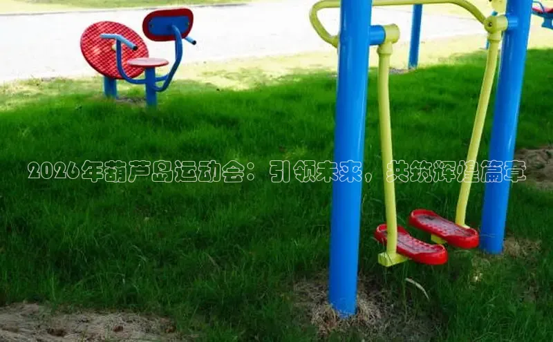 飞速体育直播